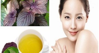 Bí quyết làm đẹp bằng lá tía tô đơn giản, hiệu quả tại nhà